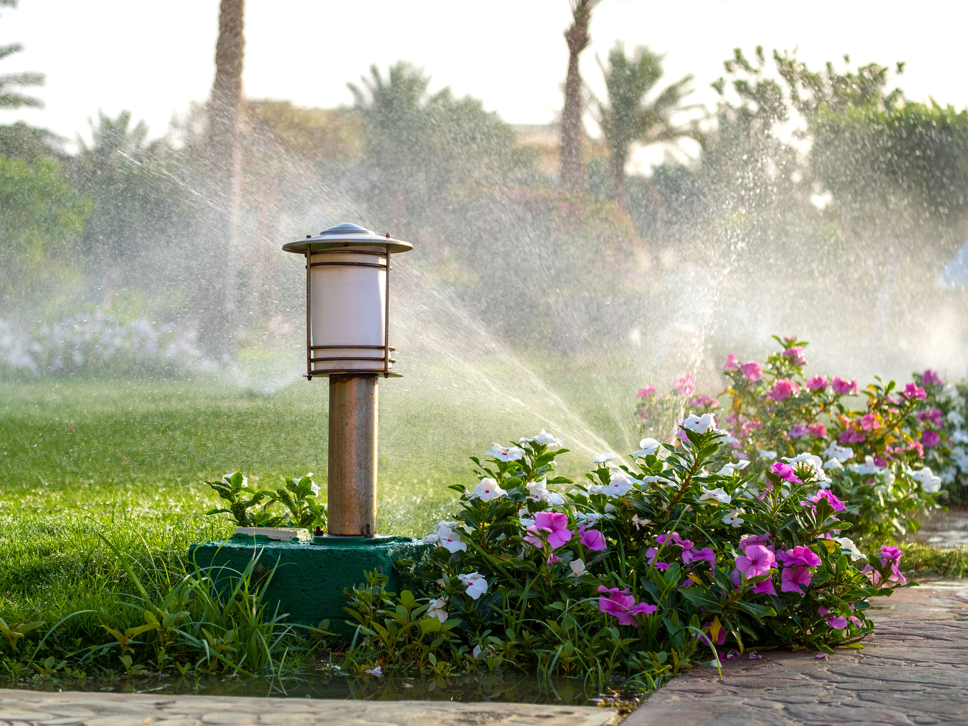 systèmes d'irrigation pour l'aménagement paysager