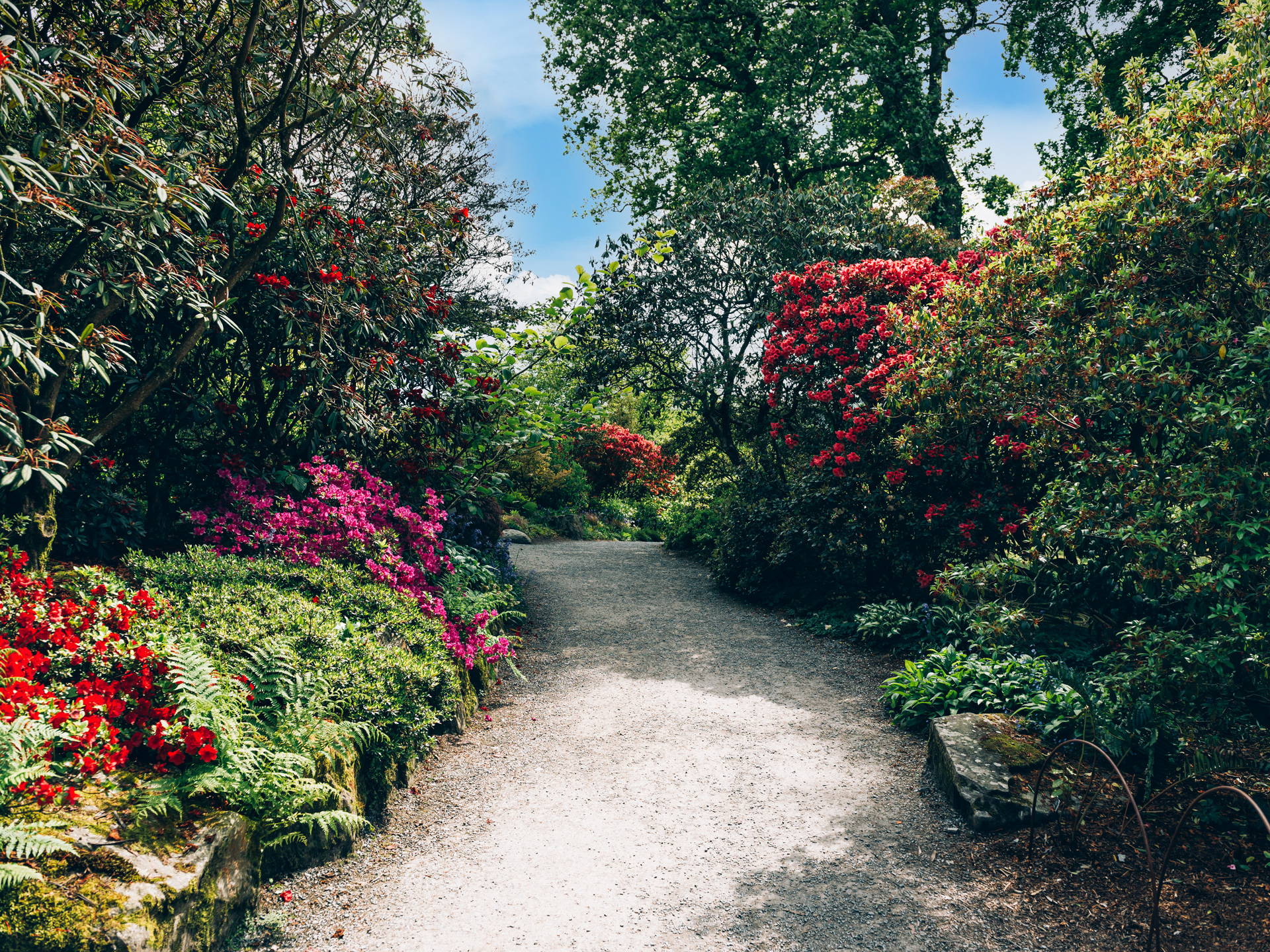 allées de jardin