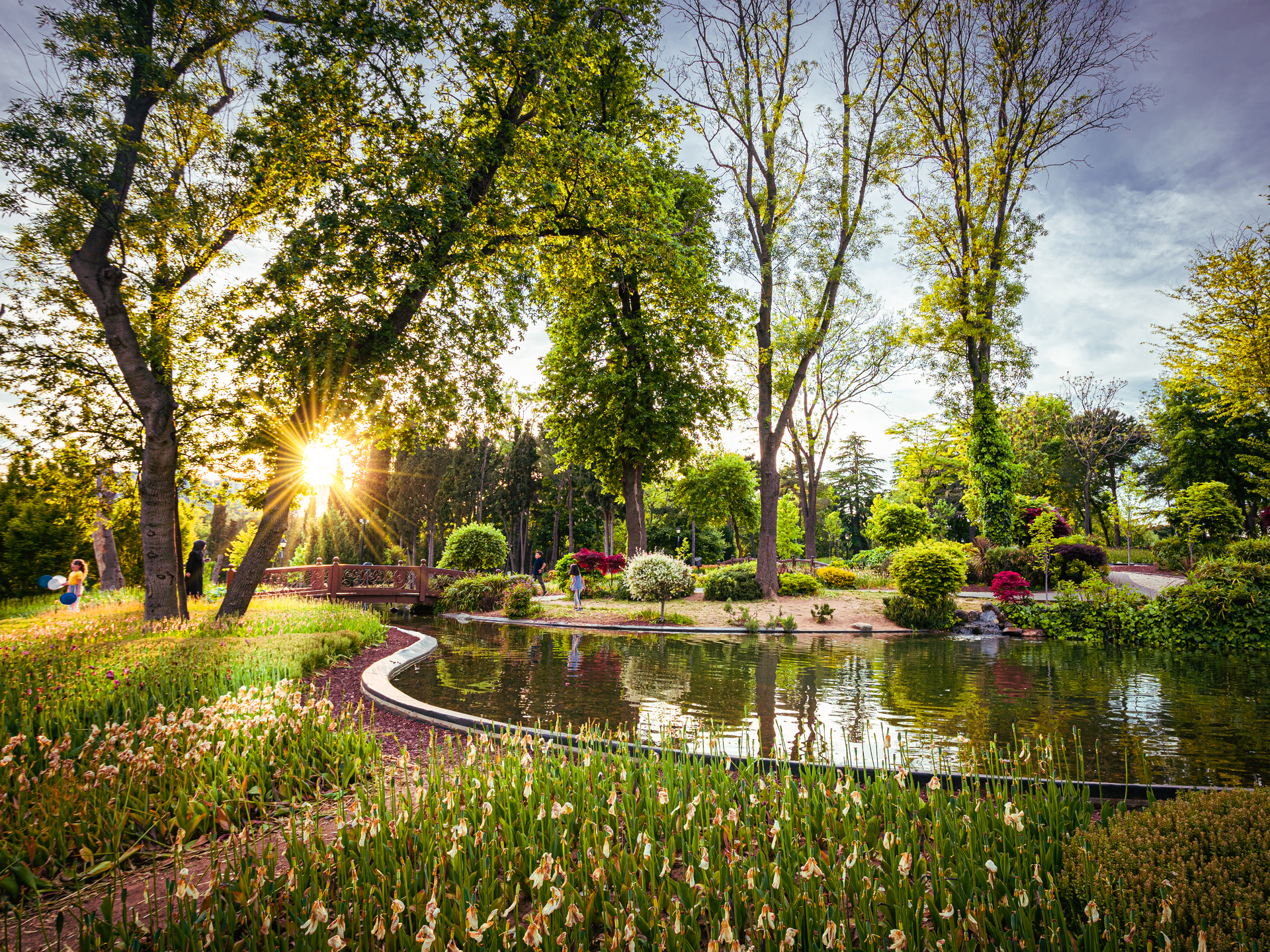 créer un beau jardin