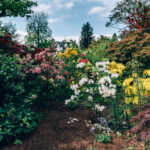 jardin toute l’année