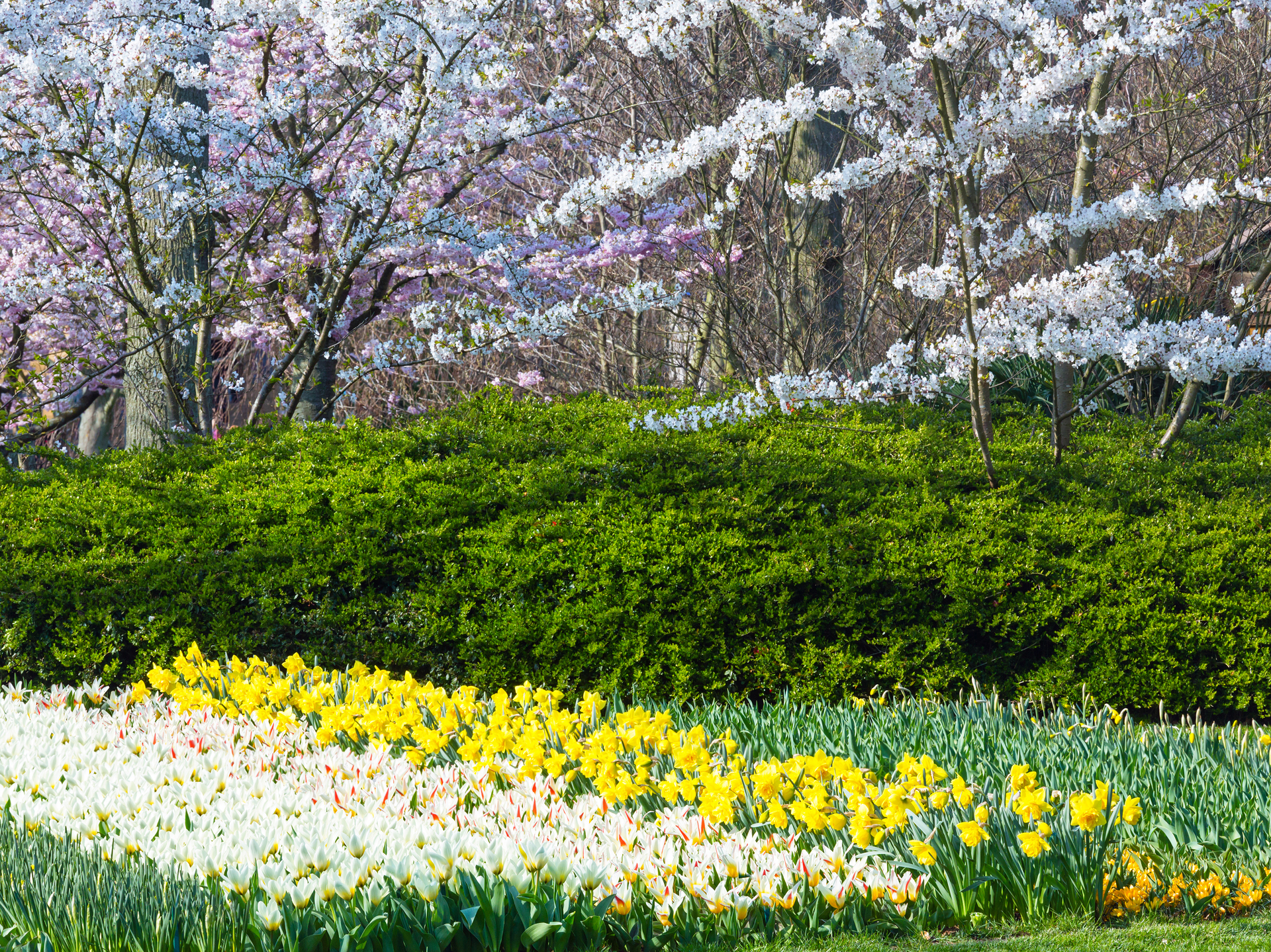 idées aménagement jardin printemps